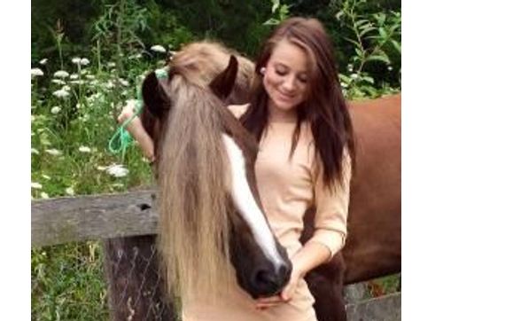 Complete services offered for the horse and rider. Welsh Pony and sport pony breeders. by Dartland Farms