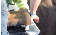 The Bronx roof replacement by ContractorsIn Roofing & Waterproofing