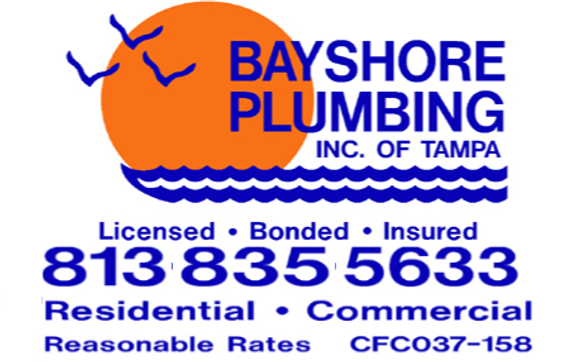 tankless heaters by Bayshore Plumbing of Tampa