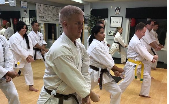 Traditional Okinawan Self Defense Karate Classes by Alexandria Karate ...