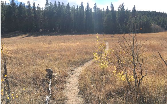 Healing Yourself, Healing the World -- A Self-Compassionate Path through Grief  October 26-30, 2022. by Women-in-Transformation  Retreats & Groups