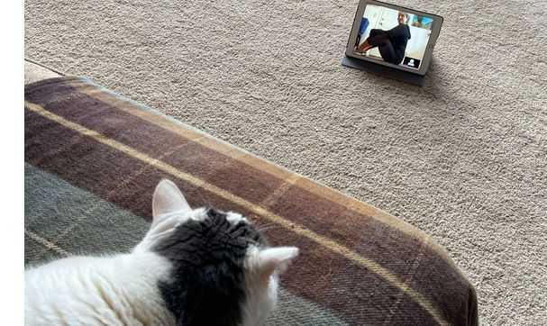 Online Fitness Classes by Skyline Fitness