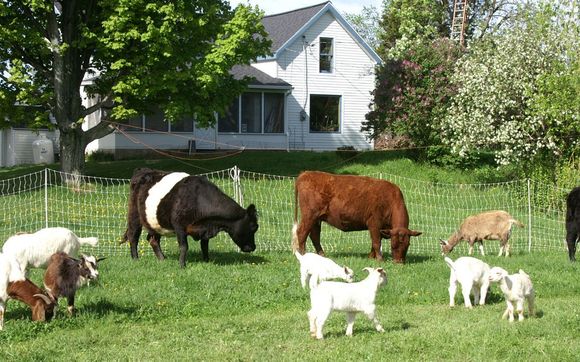Sustainable Agriculture by Cross Island Farms