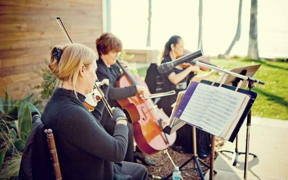 Chamber Music, specializing in making dreams come true. by Caprice Strings