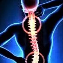 Chiropractic by BACK 2 LIFE CHIROPRACTIC