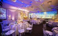 Projection Mapping by The Avenue Banquet Hall