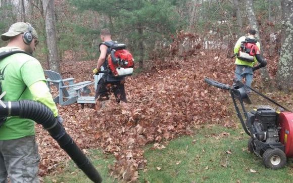 Fall Cleanup By Mighty Oak Landscaping, How To Clean Up Landscaping In Fall