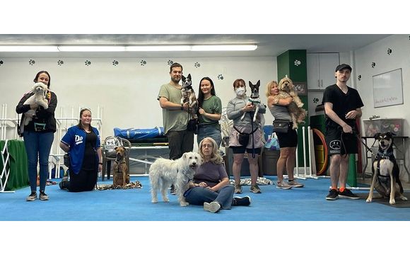 Classes by J9's K9s Dog Training