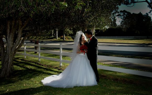 Wedding Photography by Deidre Davidson Photography