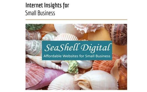 Internet Insights by SeaShell Digital