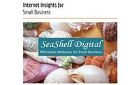 Internet Insights by SeaShell Digital
