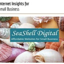 Internet Insights by SeaShell Digital