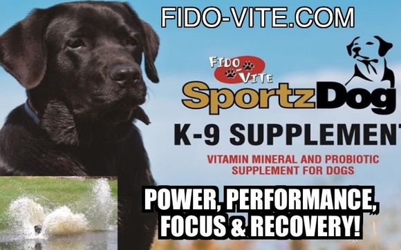 Fido vite hot sale sportz dog