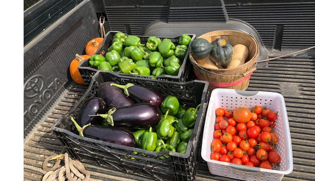 Organic Produce by Girard’s Valley View Farm