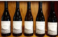 Wine Sales by Bouchard Lake Winery
