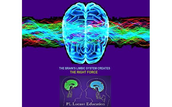 Adult Programs by PL Lucas® Foundations, HCvsAIC®, Human Capabilities vs AI®, IFNBT® Brain Science,  CSNP® Neuroscience,  Life Force Recovery®, Digital Protected Producer®, PL Lucas® Education...