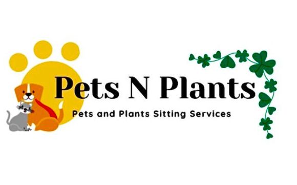House Sitting by Pets N Plants