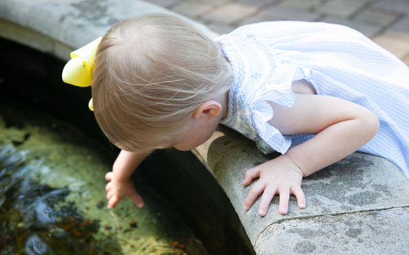 Family Portraits by ZoomWorks
