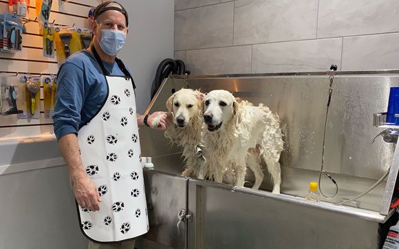 Grooming Supplies and Self Service Dog Wash by Scratch and Sniff