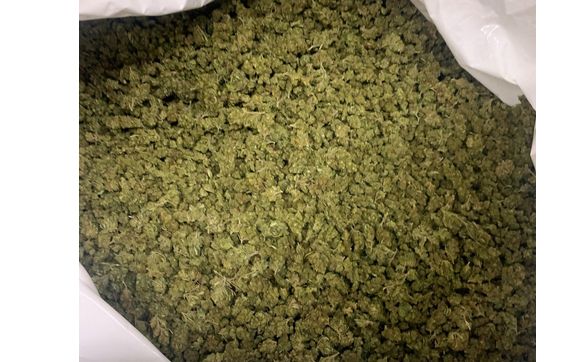 Bulk Hemp Flower CBD/ CBG by Keystone Hemp Growers