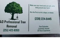Tree Pruning by T&D Professional Tree Removal