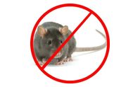 Pest Treatments by Rove Pest Control