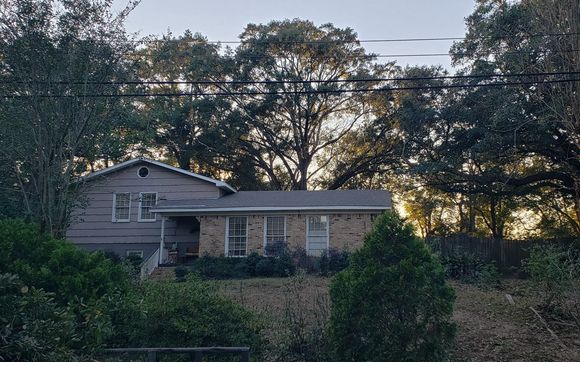Tree Removing by T&D Professional Tree Removal