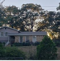 Tree Removing by T&D Professional Tree Removal