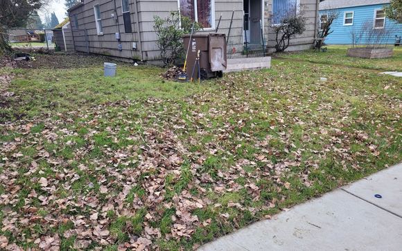 Fallen Leaf Clean-up by Positive One Connections Co