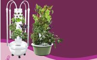 Aeroponic Garden by Becoming Transformation Coaching