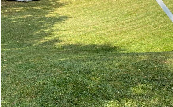 Fall Cleanup by O'Brien Property Services LLC