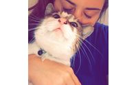 Cat by Elgin Veterinary Hospital