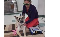 Cold Laser Therapy by South Paw Animal Hospital