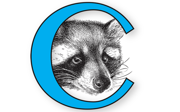 Assessment by Compassionate Wildlife Removal