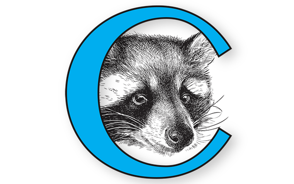 Exclusion Systems by Compassionate Wildlife Removal