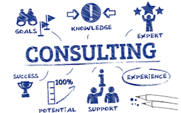 Consulting by Top 2 Bottom Business Solutions