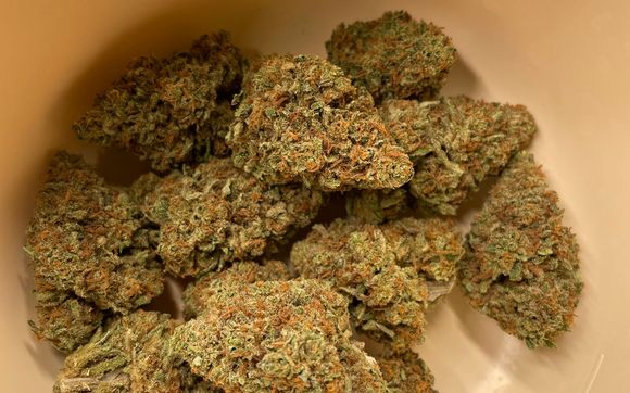 Miss Maple hemp flower, seeds and clones by 4K Pharm LLC