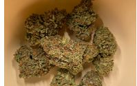 Rio Grand-eo hemp flower, seeds and clones by 4K Pharm LLC