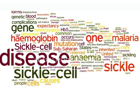   MAKE A MEMORABLE DONATION/TRIBUTE TO A “BEAUTIFUL SMILE” ❤️ by The Potter’s Smile