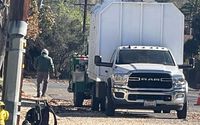Tree removals in vista  by Vista Del Rey Tree Service