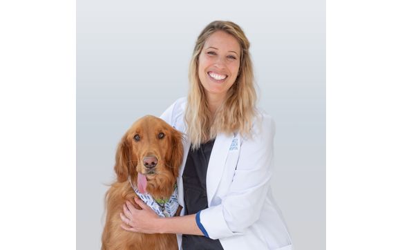 Headshot Photography by Fab Art Gallery