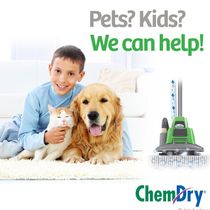 Pet Urine Removal by Johnson County Chem-Dry