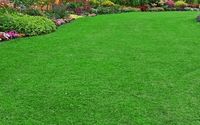 Landscaping services  by My Perfect Home