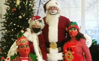 Family Entertainment by Festive Effects, LLC