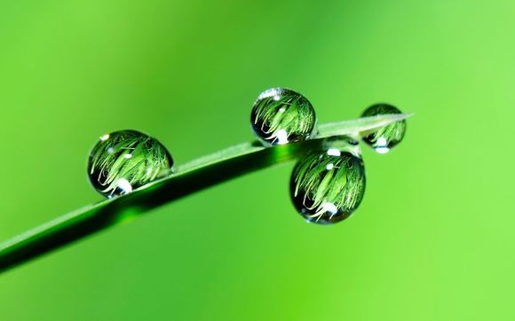 Living Well Go Green by Living Well Go Green