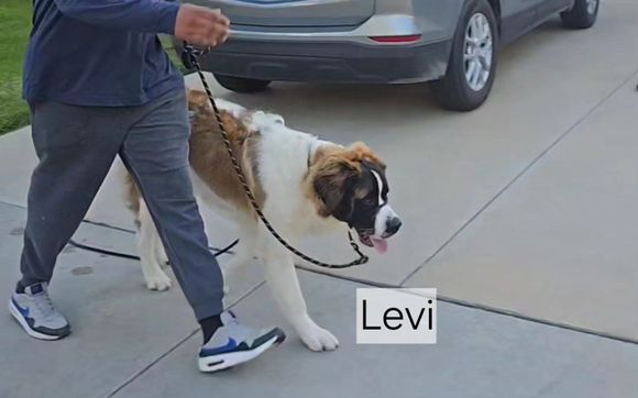 Behavior Boost by Freedom Walk Training LLC