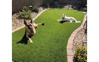 Artificial Turf by Arizona Artificial Lawns