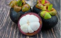 Have heard about the new delivery system for MANGOSTEEN XANTHONES?? by Manna International Trading 