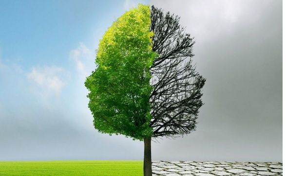 Bipolar Disorder Treatment by David A Schlitt, PsyD, LP, LLC