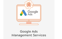 Paid Ad's Management by Lead Fire